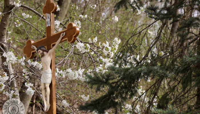 Vasárnapi hírek 2024.04.07