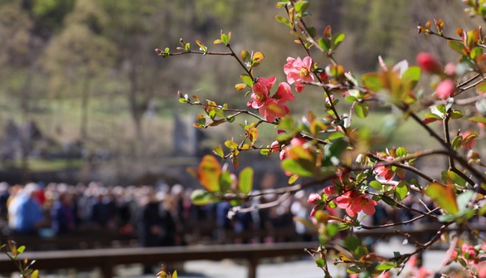 Vasárnapi hírek 2026.03.01