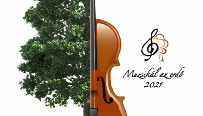 Advent a „Muzsikál az erdő”-vel