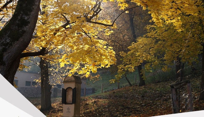 Vasárnapi hírek 2022.10.16