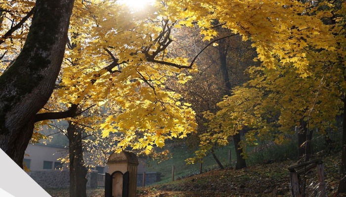 Vasárnapi hírek 2022.11.12