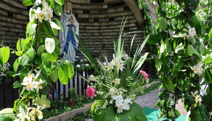 SZENT ANTAL BÚCSÚ 2024