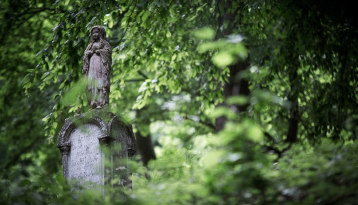 Szűz Mária Szeplőtelen Szíve búcsú