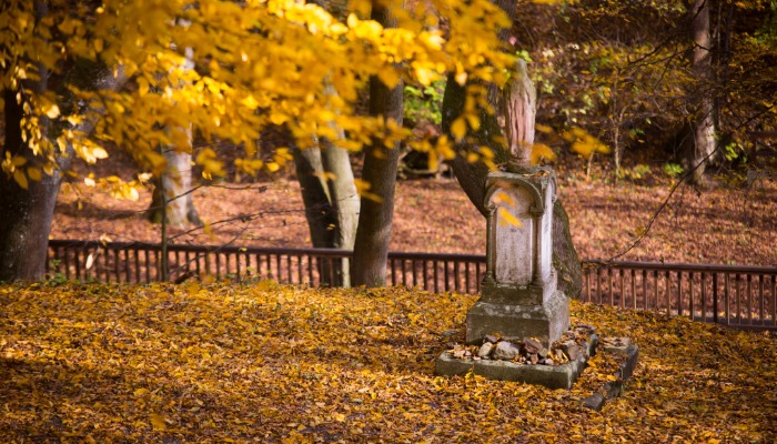 GÖRÖGKATOLIKUS BÚCSÚ 2024