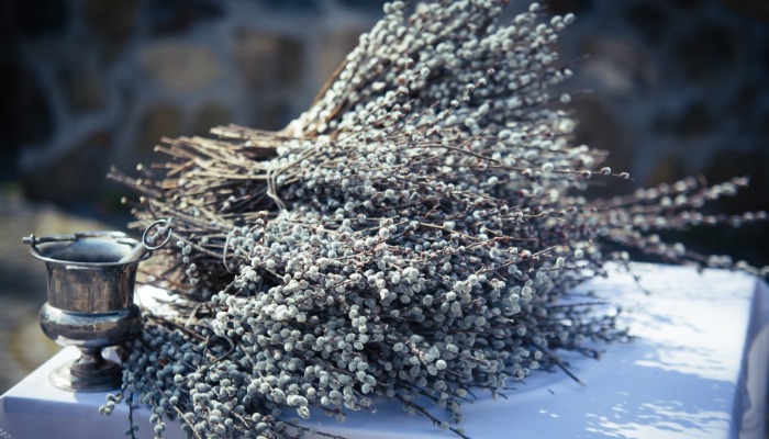 Vasárnapi hírek 2024.03.17