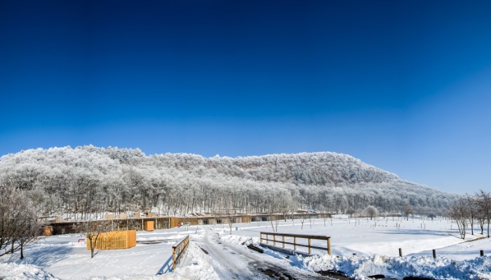 Téli és tavaszi lelkigyakorlatok a Kegyhelyen 2024/2025